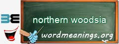 WordMeaning blackboard for northern woodsia